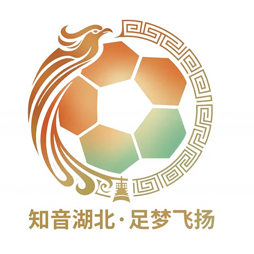 湖北省城市足球联赛神农架队VS鄂州临空队20260612